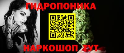 СК Кохма