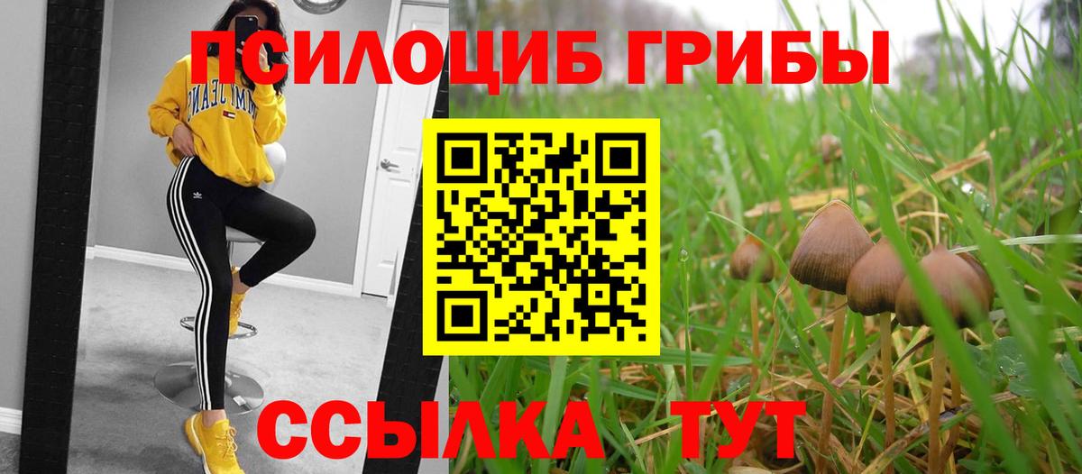 Галлюциногенные грибы прущие грибы  Галлюциногенные грибы Cubensis  Вход с VPN  купить   Холмск 